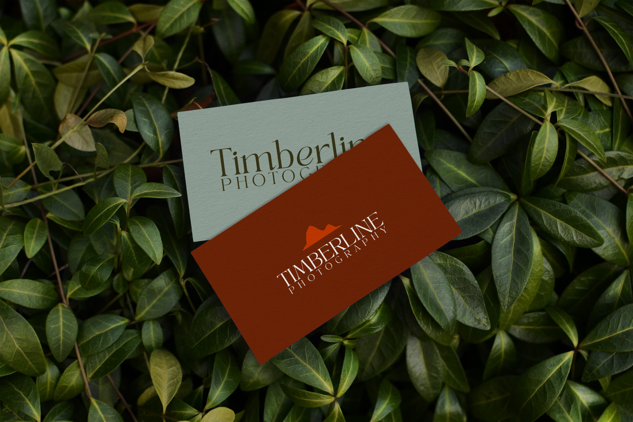 A deep green, leafy bush serves as a background the two business cards for an elopement photography business named Timberline Photography. The top card is a deep red with white modern text and a burnt orange mountain range at the top of the logo. The foreground business card is in deep green text with the same modern font on a dusky, light blue background.